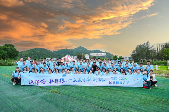 Summer Team Building: Unforgettable Moments Together
